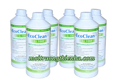 ecoclean L 100F hai phong