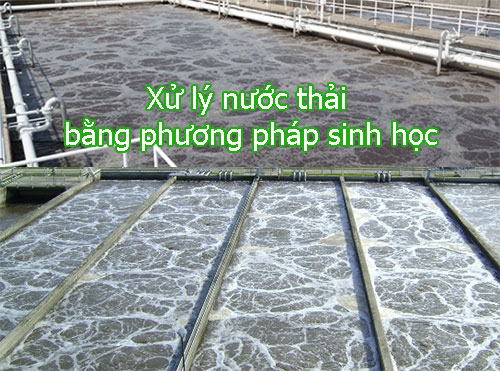 xu ly nuoc thai bang phuong phap sinh hoc