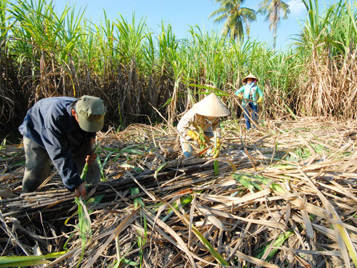 xu ly nuoc thai nha may mia duong o hai phong